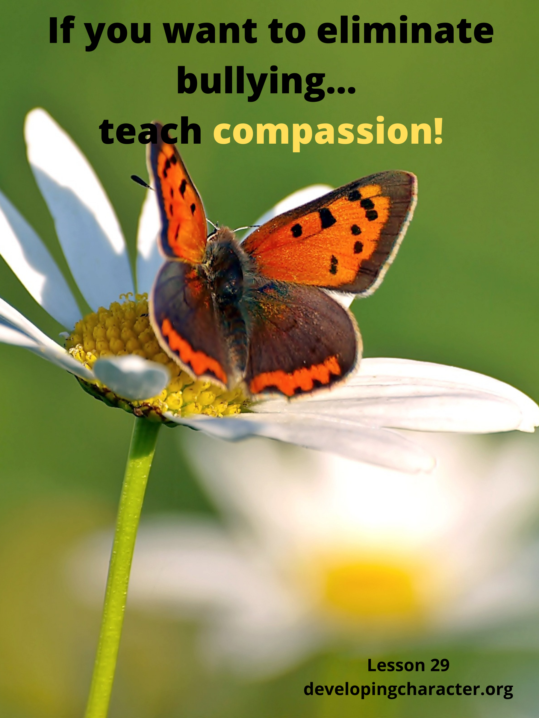 Compassion-Poster