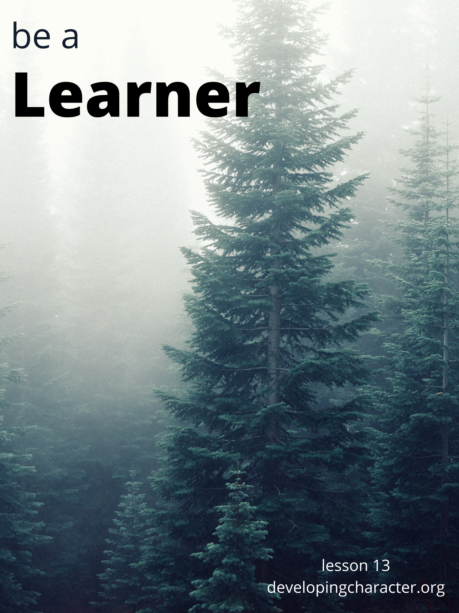 Learner-Poster